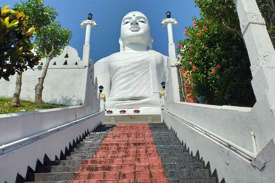 Kandy - Image 3
