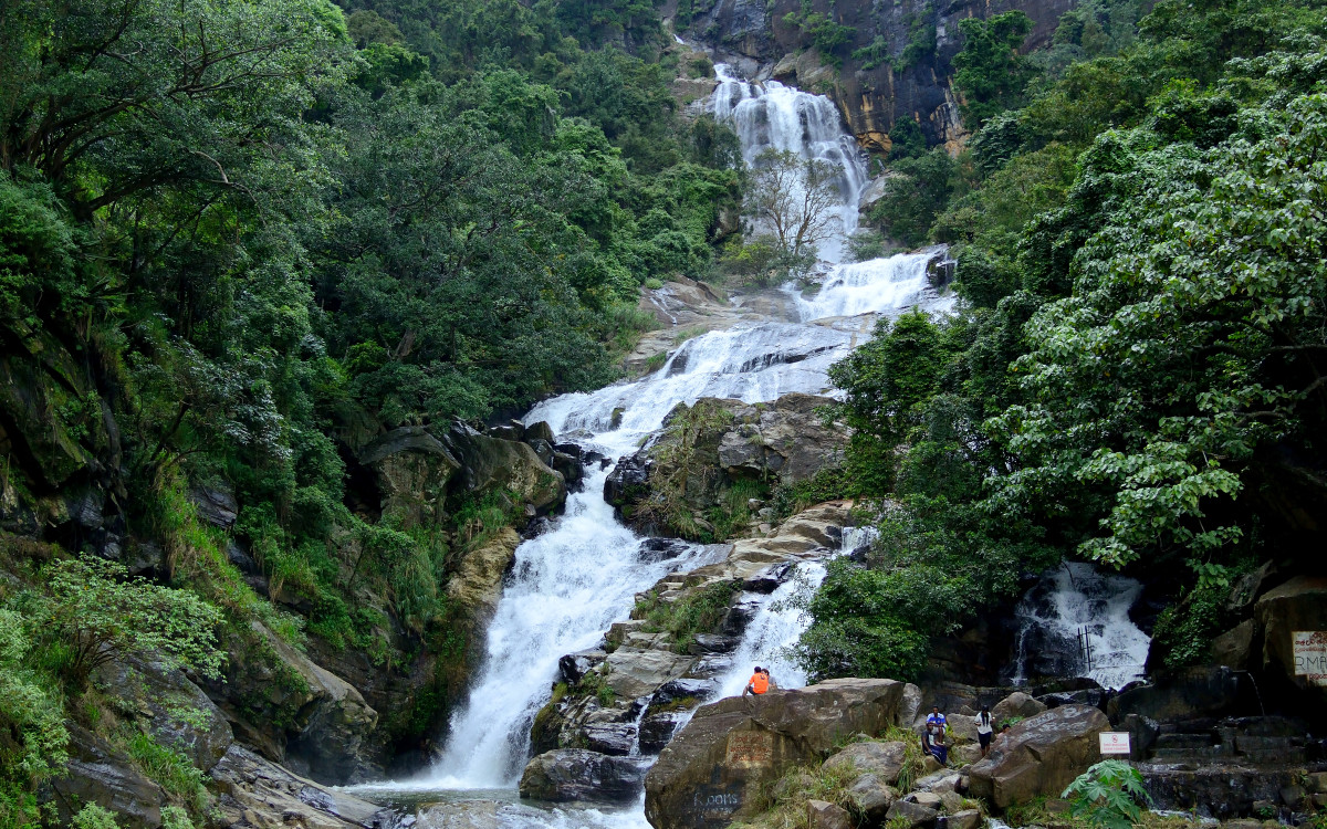 Wildlife & Nature Tour